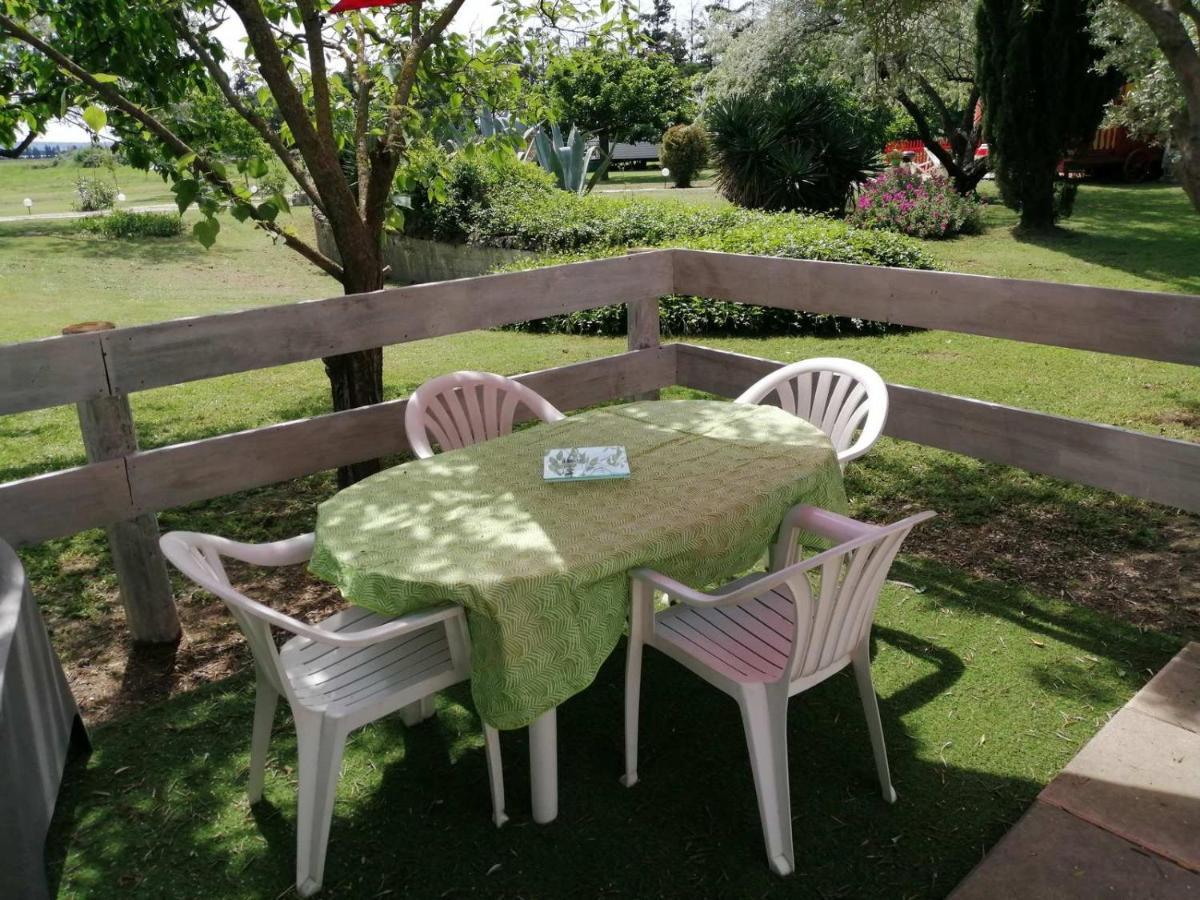 Mas Maurane - L'Olivier avec SPA privé Tarascon Extérieur photo