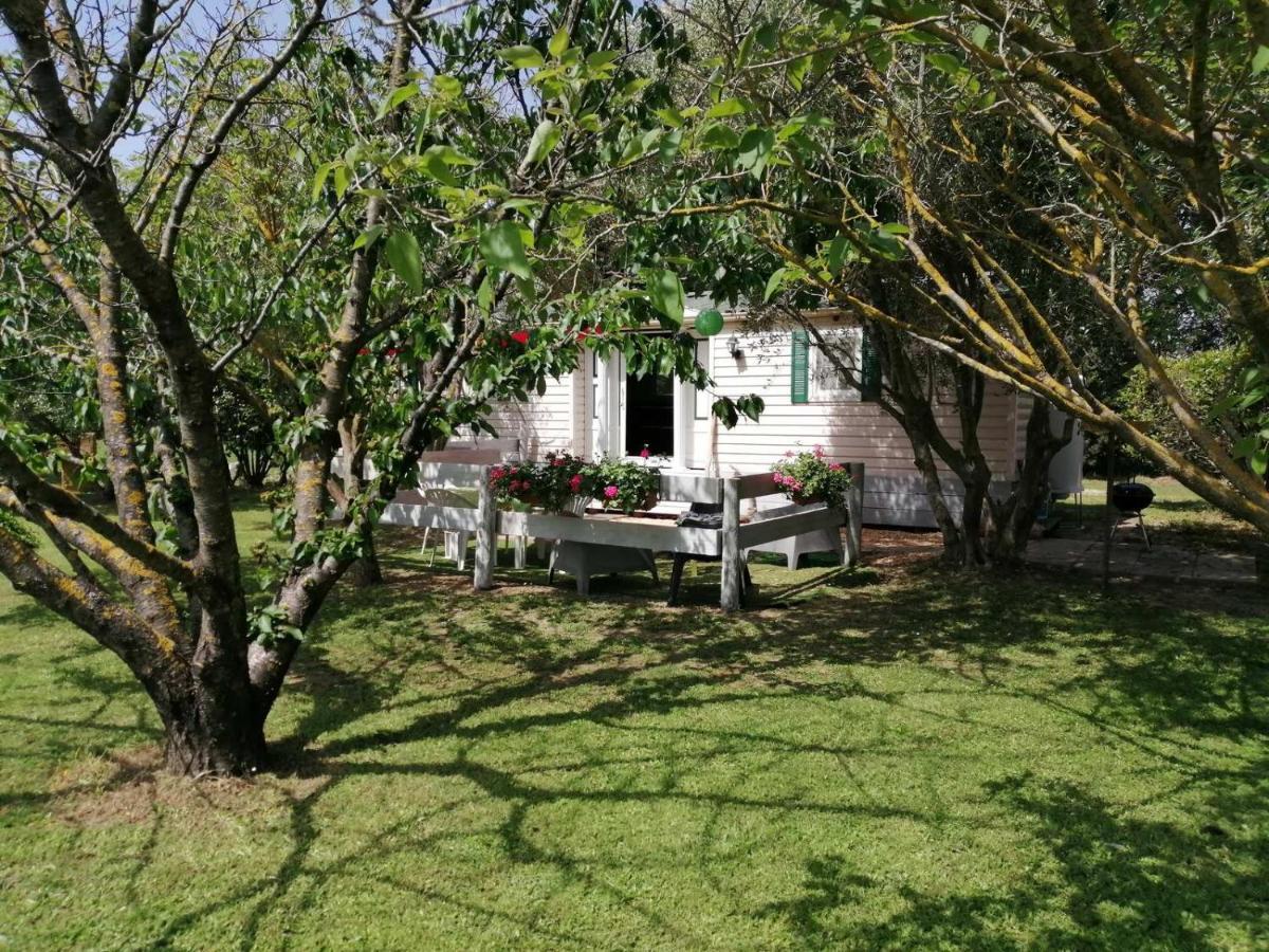 Mas Maurane - L'Olivier avec SPA privé Tarascon Extérieur photo