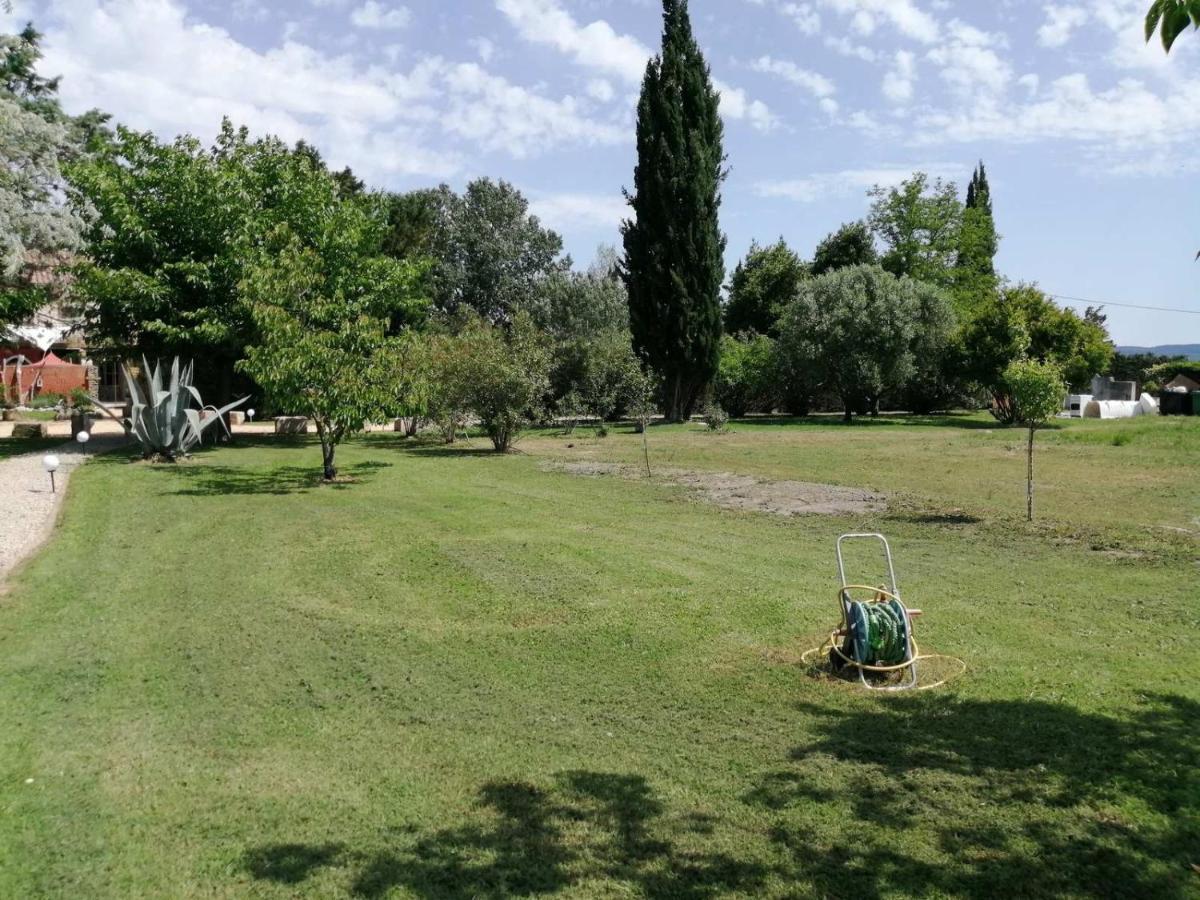 Mas Maurane - L'Olivier avec SPA privé Tarascon Extérieur photo