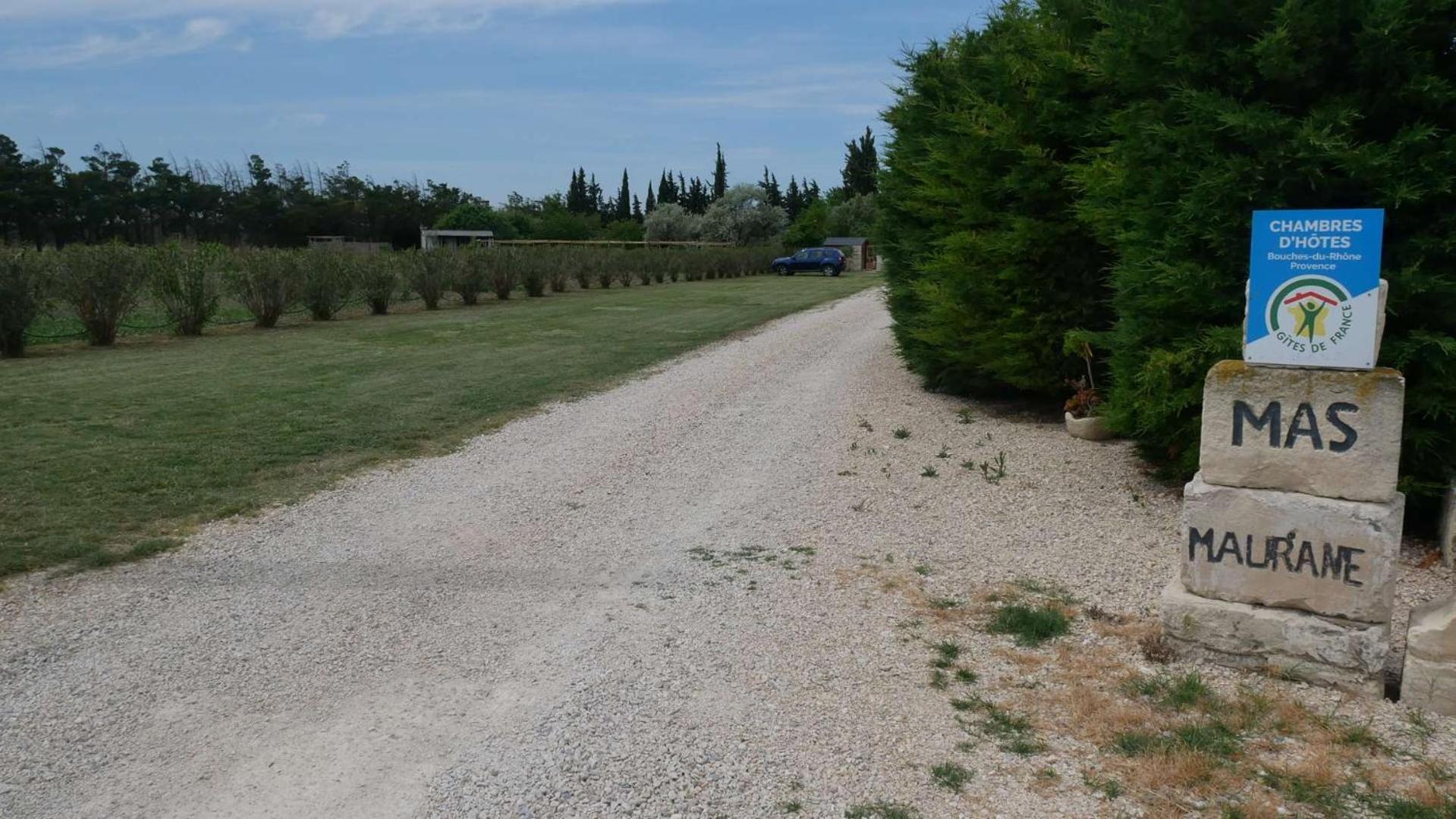 Mas Maurane - L'Olivier avec SPA privé Tarascon Extérieur photo